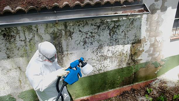 Trusted Crawl Space Mold Removal service in Madera, PA - Cheap Mold Removal